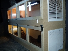 anther view
