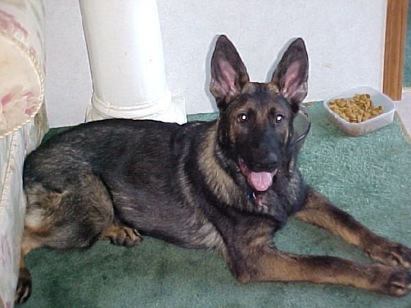 Caizer 5 1/2 months