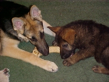 Heidi and Caizer