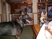 Caizer (Cai) and Heidi