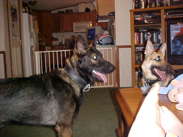 Caizer (Cai) and Heidi