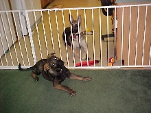 Heidi and Caizer