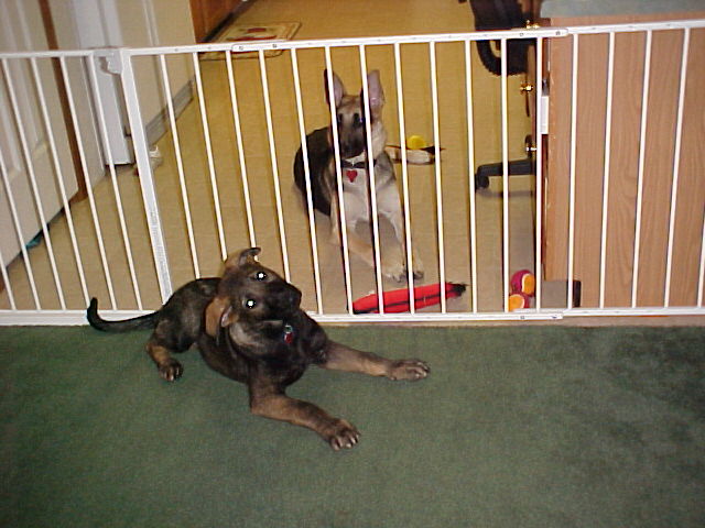Heidi and Caizer