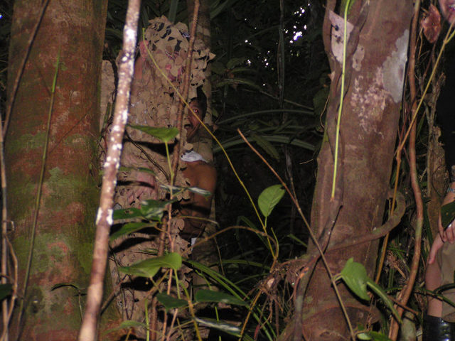 The most dangerous creature in Polillo!!