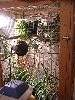 Cage
