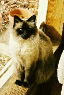I'm so handsome!