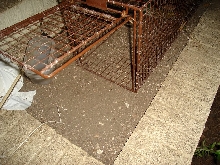 Close up of Trap