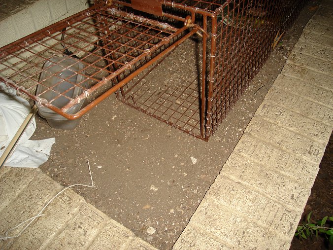 Close up of Trap