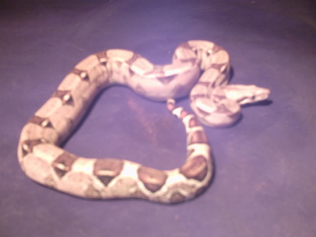 Buck