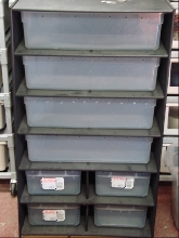 Boaphile Rack