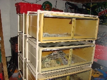 Cages