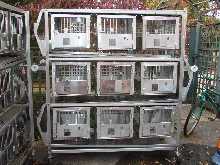 Rabbit Cages