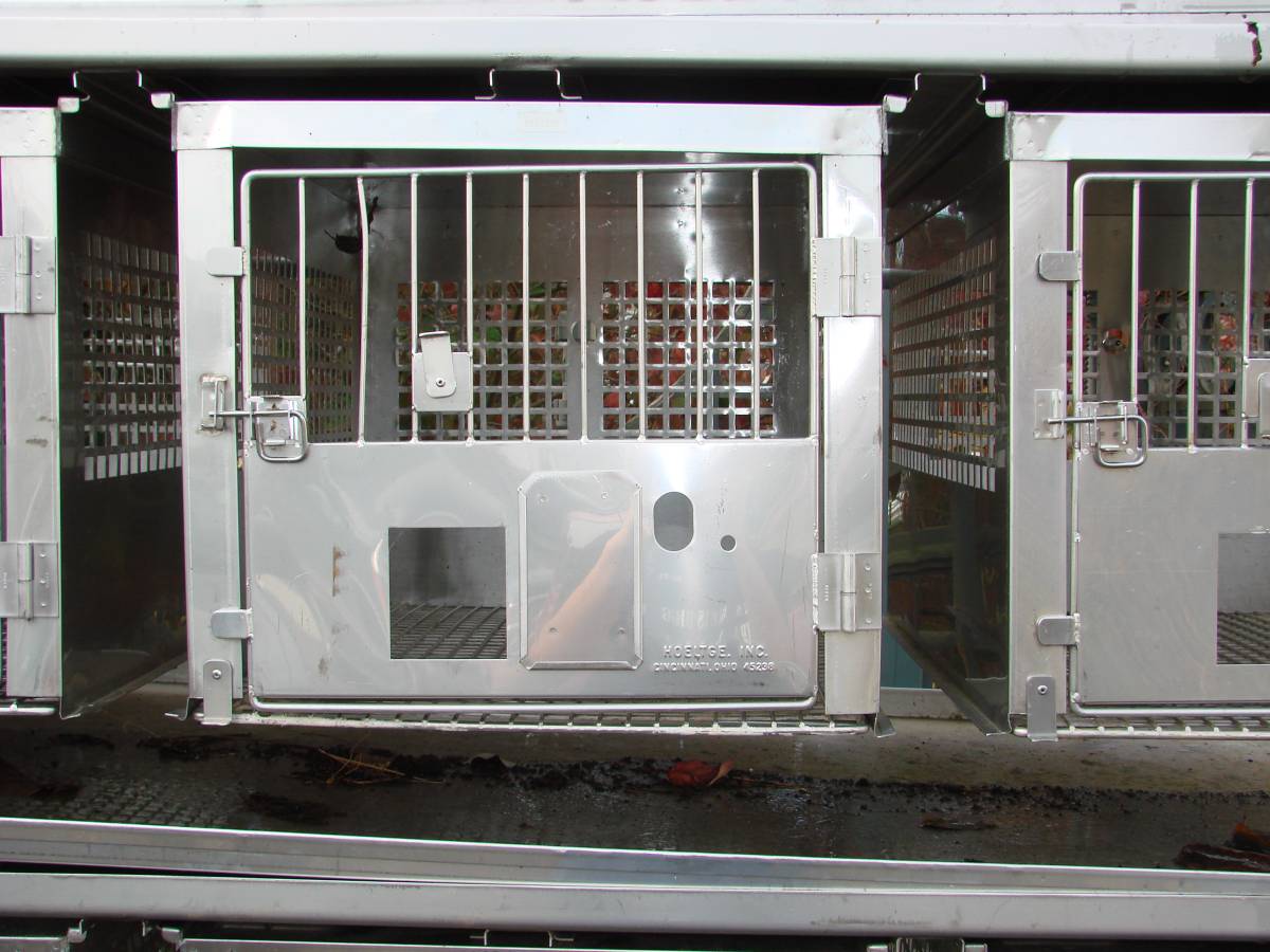 Rabbit Cages