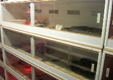 Cages1