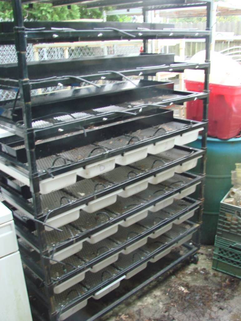 mouse rack