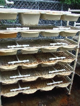 Neodesha Mouse / rat rack