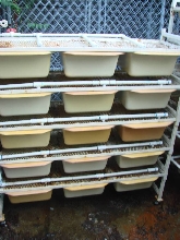 Neodesha Rat Rack