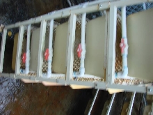 Water shutoffs for  each level