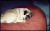 Princess 2