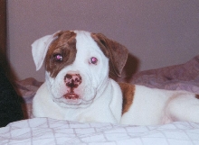 Eli- 8 Weeks