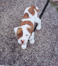Eli- 8 Weeks