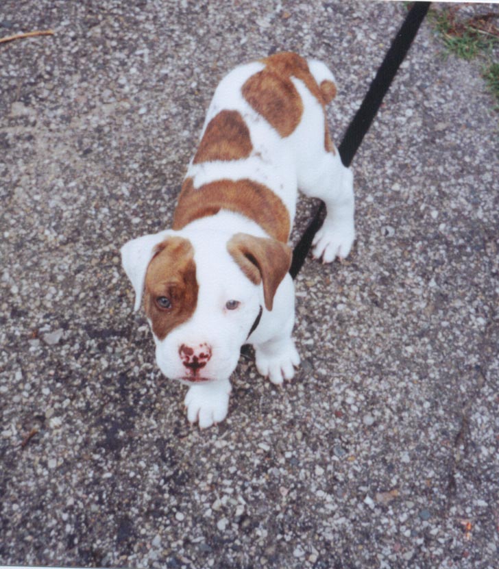 Eli- 8 Weeks