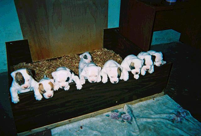 Eli's Siblings