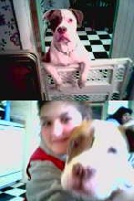 A couple pix of Eli from my phone- not the greatest quality