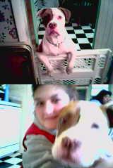 A couple pix of Eli from my phone- not the greatest quality
