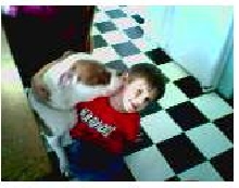 Bully Kisses