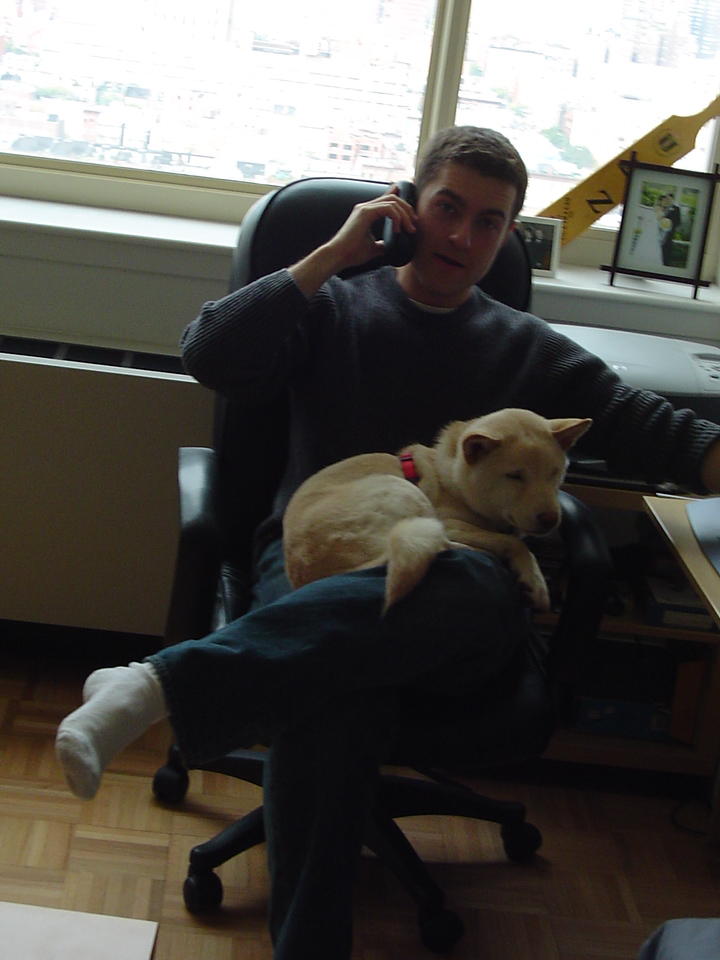 All Work and No Play in NYC