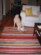 Atari enjoys gingerbread man