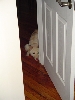 Hide and Seek!