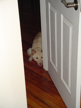 Hide and Seek!