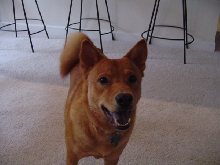 Jasper J!