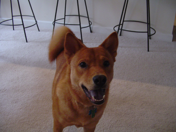 Jasper J!