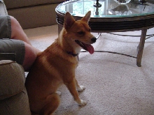 Bailey