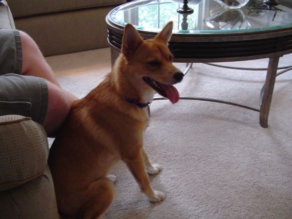 Bailey