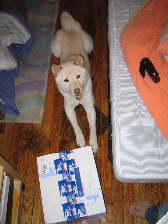 Atari waits for time to open boxes