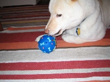 Atari enjoys new ball