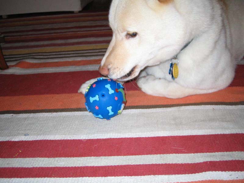 Atari enjoys new ball