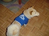 Atari in haute couture 2