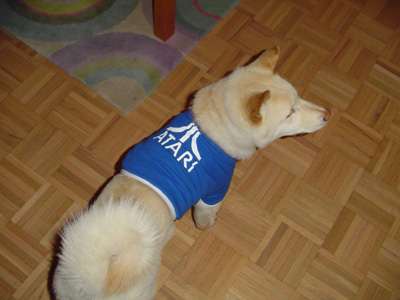 Atari in haute couture 2