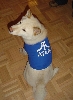 Atari in haute couture