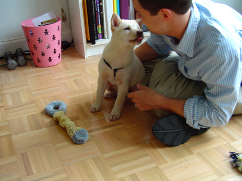 Atari licks Johnny