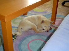 So sleepy