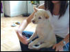 I'm a lap dog!