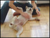 Belly Rub