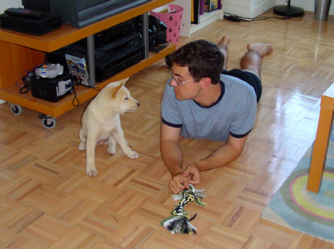 Staring Contest