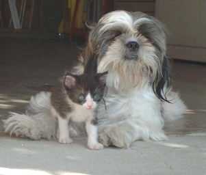 Harley and Oreo